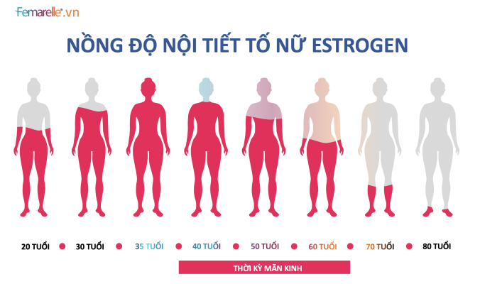 NỒNG ĐỘ NỘI TIẾT TỐ NỮ ESTROGEN